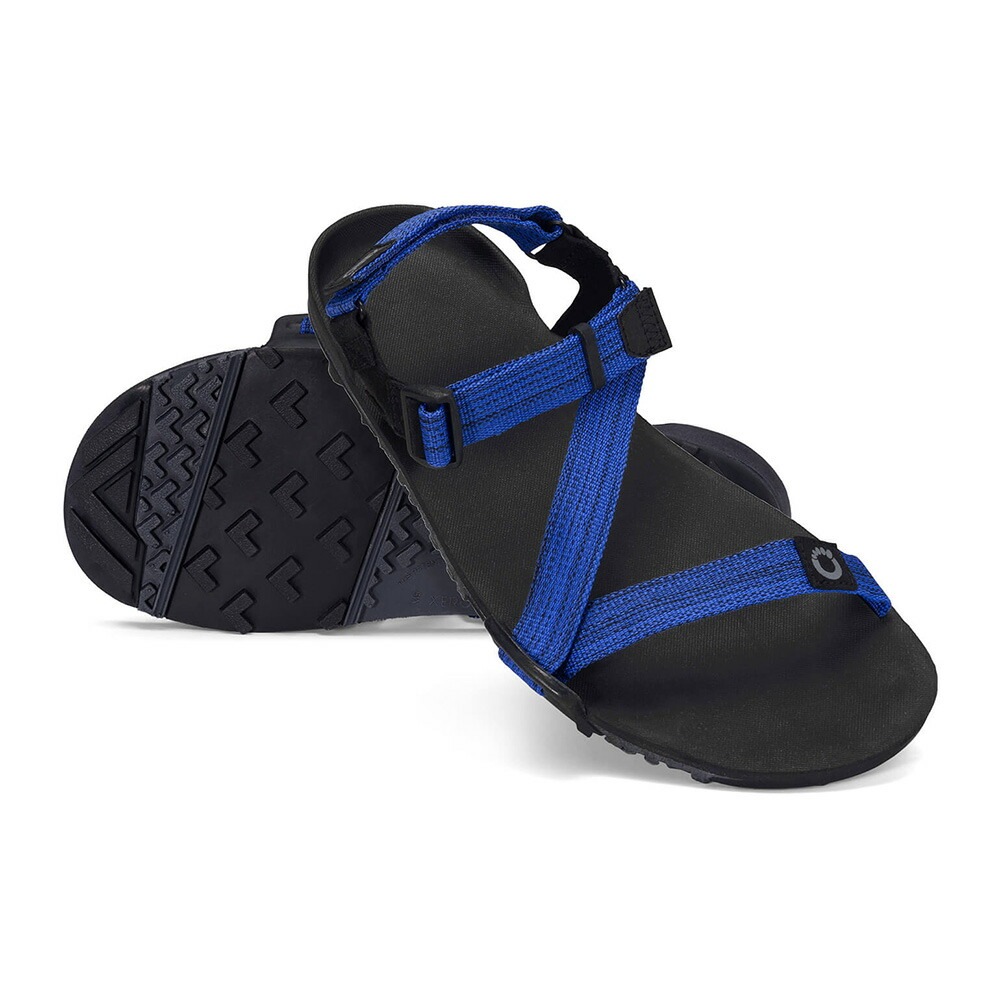 Xero Shoes Mens Z-TRAIL EV Sodalite Blue [ゼロシューズ]