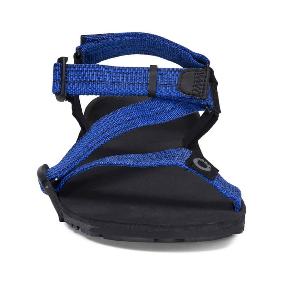Xero Shoes Mens Z-TRAIL EV Sodalite Blue [ゼロシューズ]