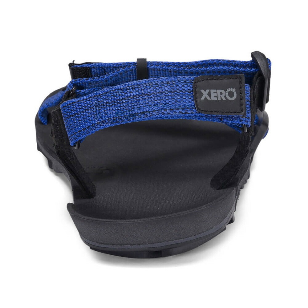 Xero Shoes Mens Z-TRAIL EV Sodalite Blue [ゼロシューズ]