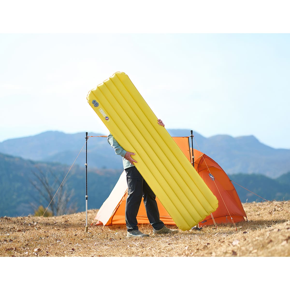 BIG AGNES ディバイド インシュレーテッド レギュラー [ビッグアグネス]