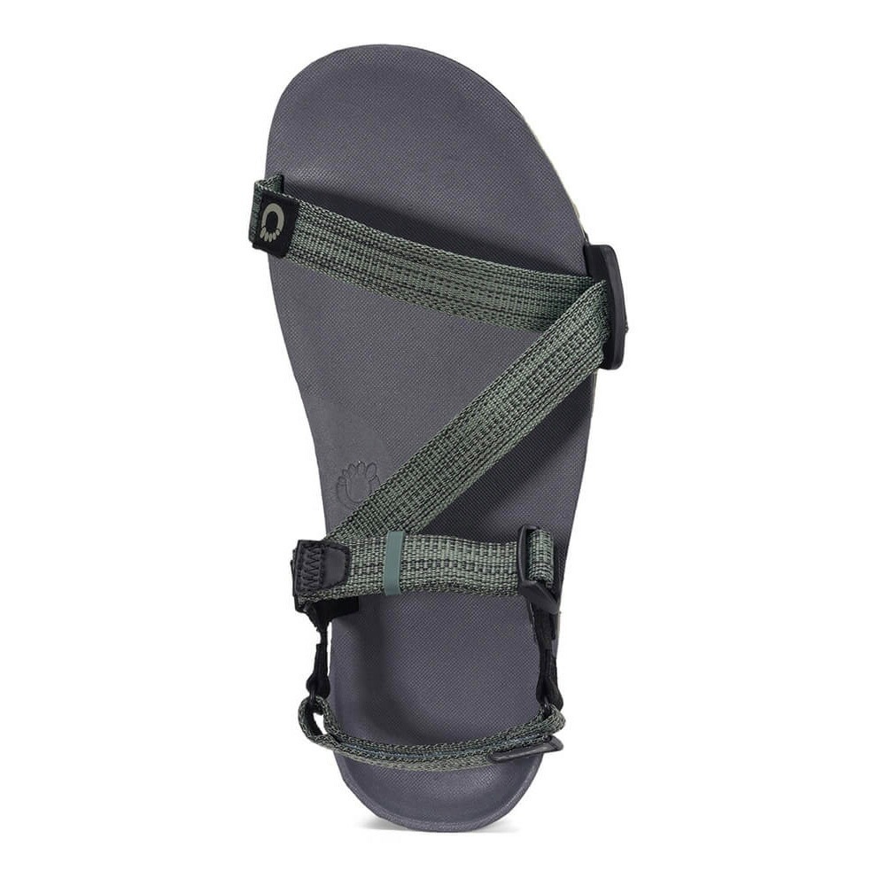 Xero Shoes Mens Z-TRAIL EV Vetiver Green [ゼロシューズ]