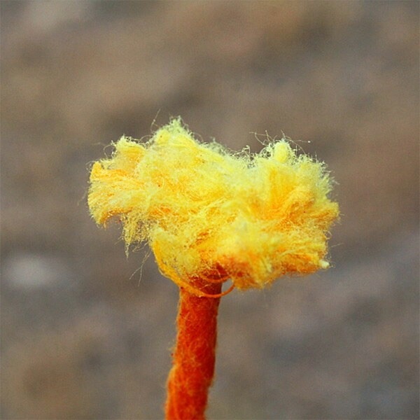 [当日出荷可][40%OFF] FIREBOX バッデストビーファイヤーフューズ [ファイアーボックス]