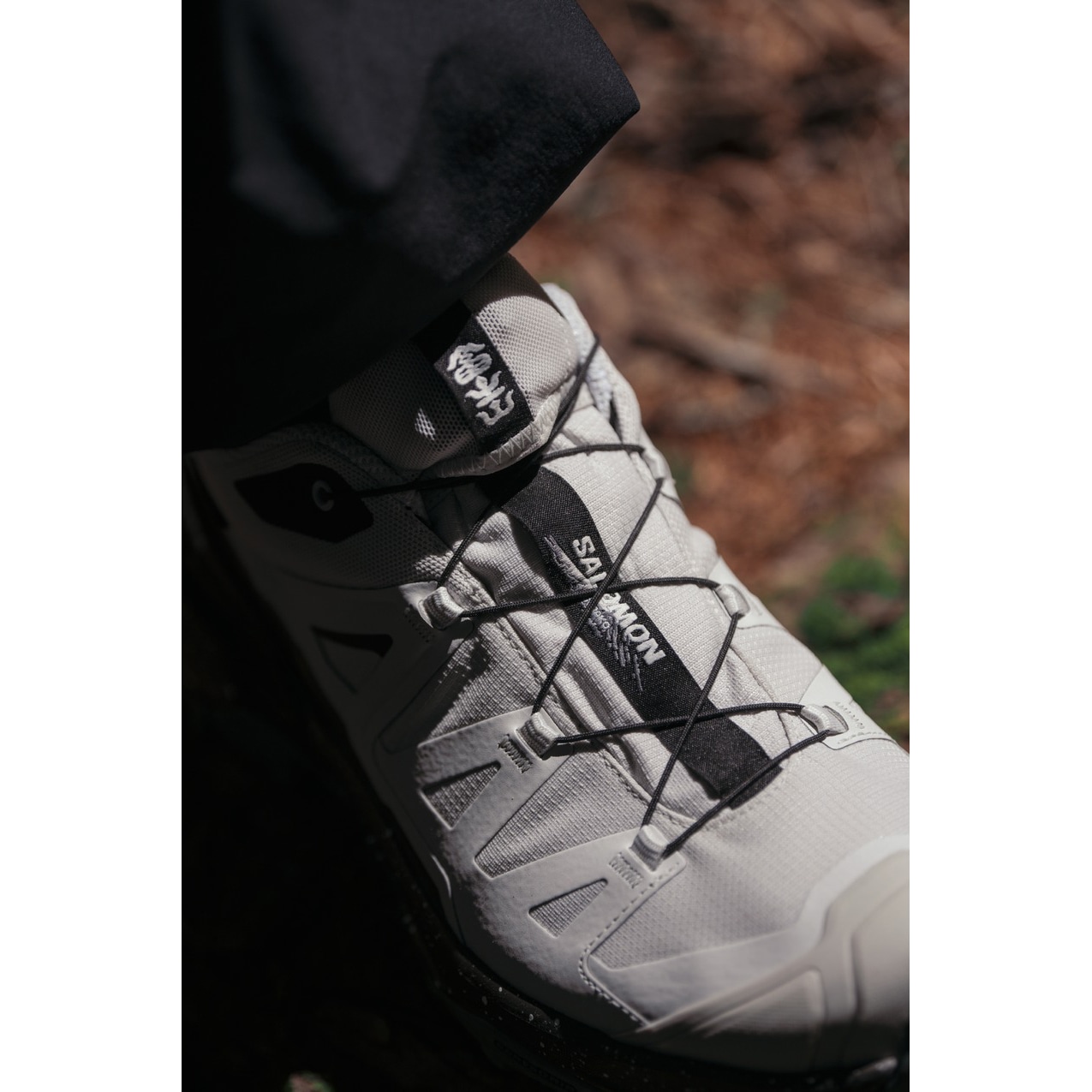 SALOMON FOOTWEAR X ULTRA 360 GTX FUJI LTD GORAIKO LUNAR ROCK [サロモン]