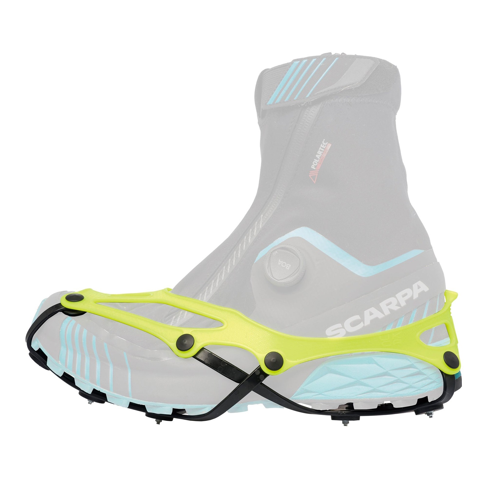 [当日出荷可][10%OFF] NORTEC CORSA 2.5 LEMON [ノルテック]