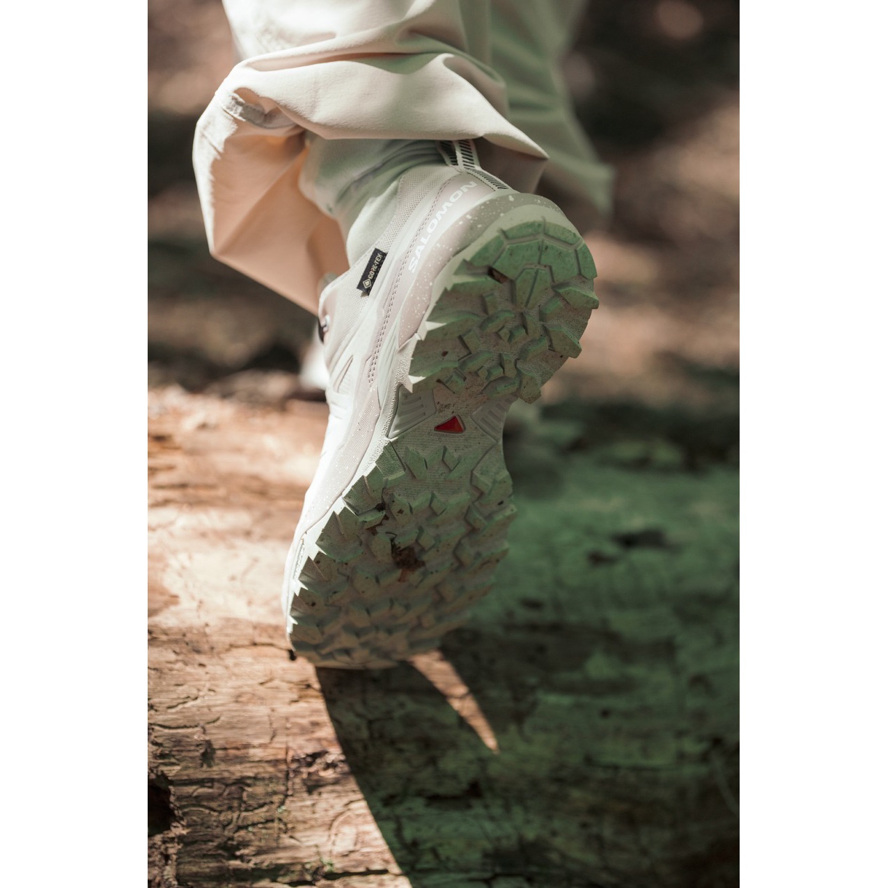 SALOMON FOOTWEAR X ULTRA 360 GTX FUJI LTD W GORAIKO ASHES OF ROSES [サロモン]