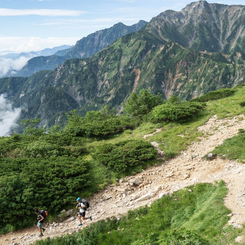 [当日出荷可] PaaGoWORKS ゼン ランハーネス [パーゴワークス]