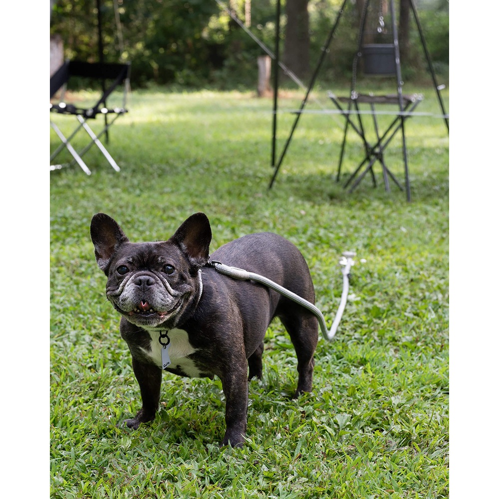 gris DOG BOLLARD [グリ]