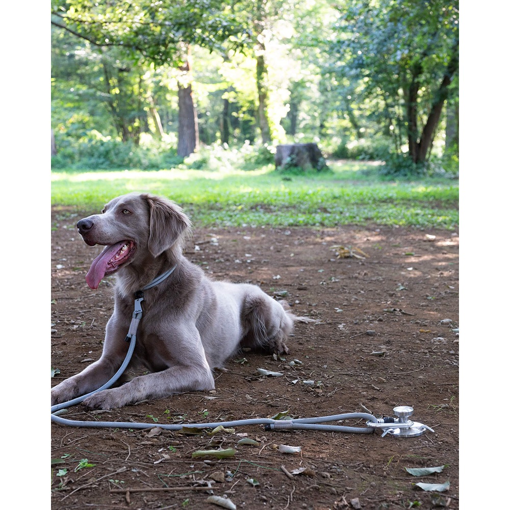 グリ ドッグボラード gris DOG BOLLARD 楽天市場】グリ ドッグボラード Gris DOG BOLLARD DG0190 ドッグ