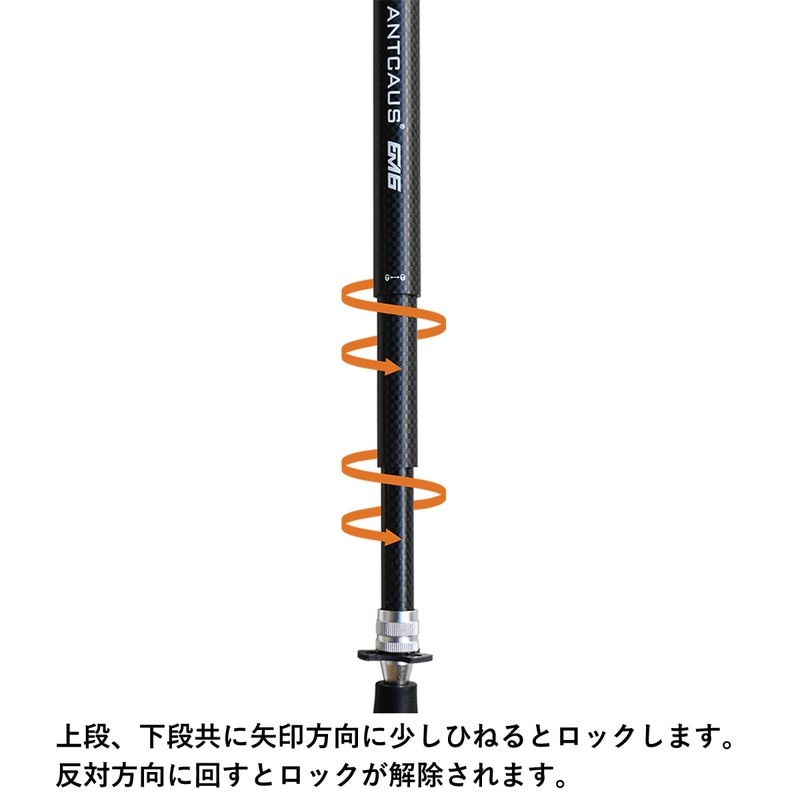 ANTCAUS アントカウス カーボン　2個セット ANTCAUS アントカウス カーボン 2個セット ANTCAUS Carbon Fiber