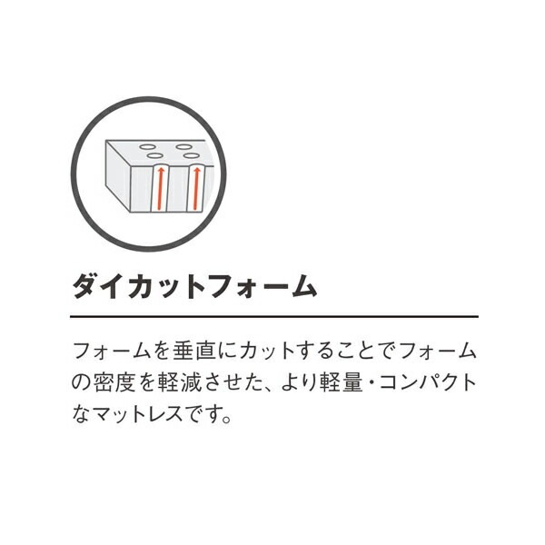 【送料込】サーマレスト トレイルライト 女性用 レギュラー THERM A REST トレイルライト 女性用 レギュラーサイズ