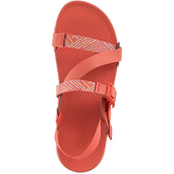 Chaco Womens Lowdown Sandal Tiger [チャコ]