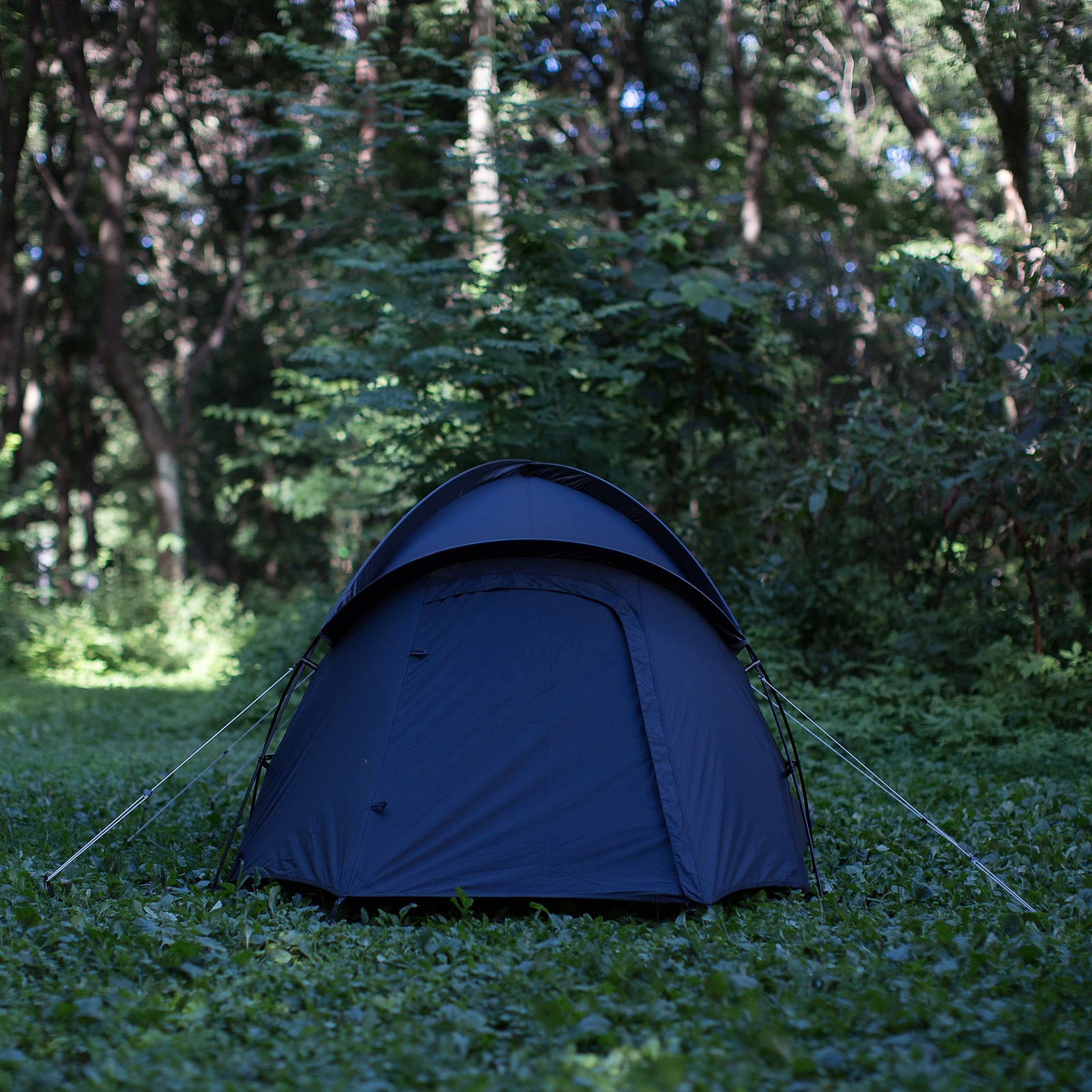 当日出荷可][40%OFF] WERKS CASTRUM 2P black [ワークス]