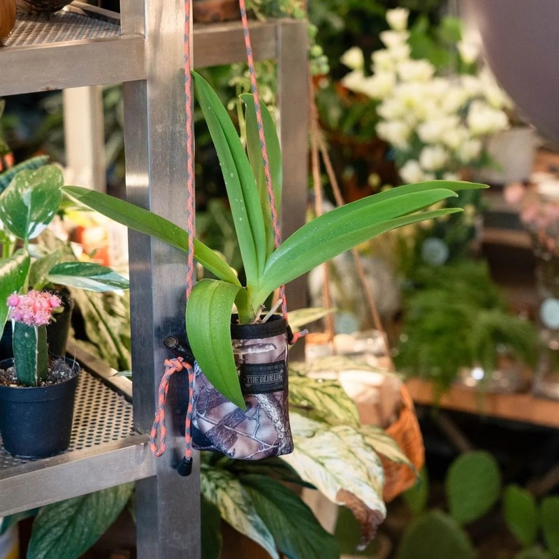 [当日出荷可] BLUE LUG can cooler pouch x-pac purple [ブルーラグ]