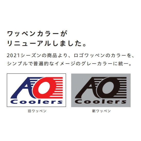 AO Coolers 24パック キャンパス ソフトクーラー ブラック [エー