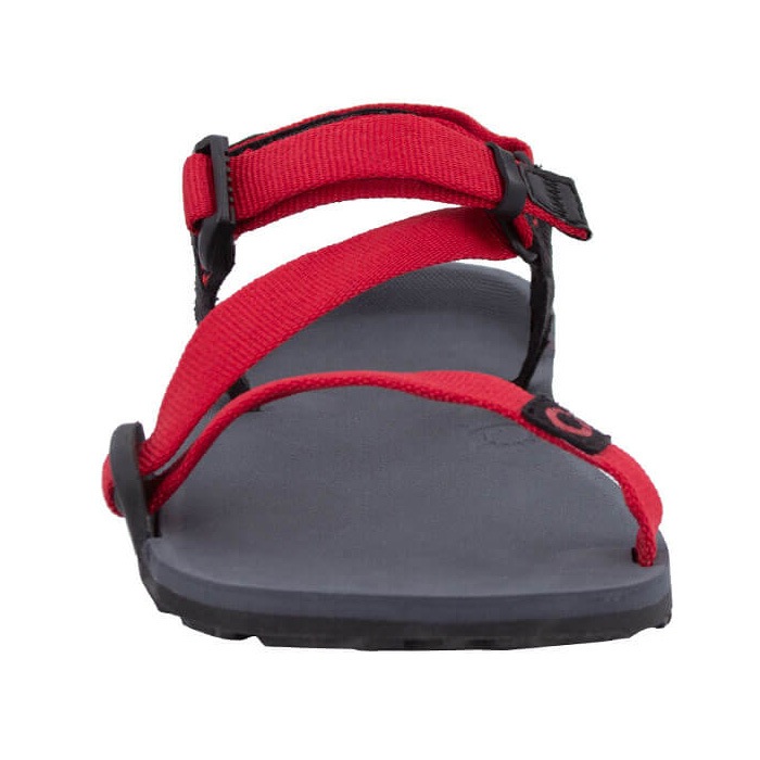 Xero Shoes Kids Z-TRAIL YOUTH Charcoal/Pepper [ゼロシューズ]
