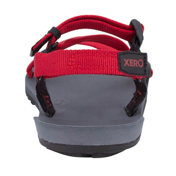 Xero Shoes Kids Z-TRAIL YOUTH Charcoal/Pepper [ゼロシューズ]