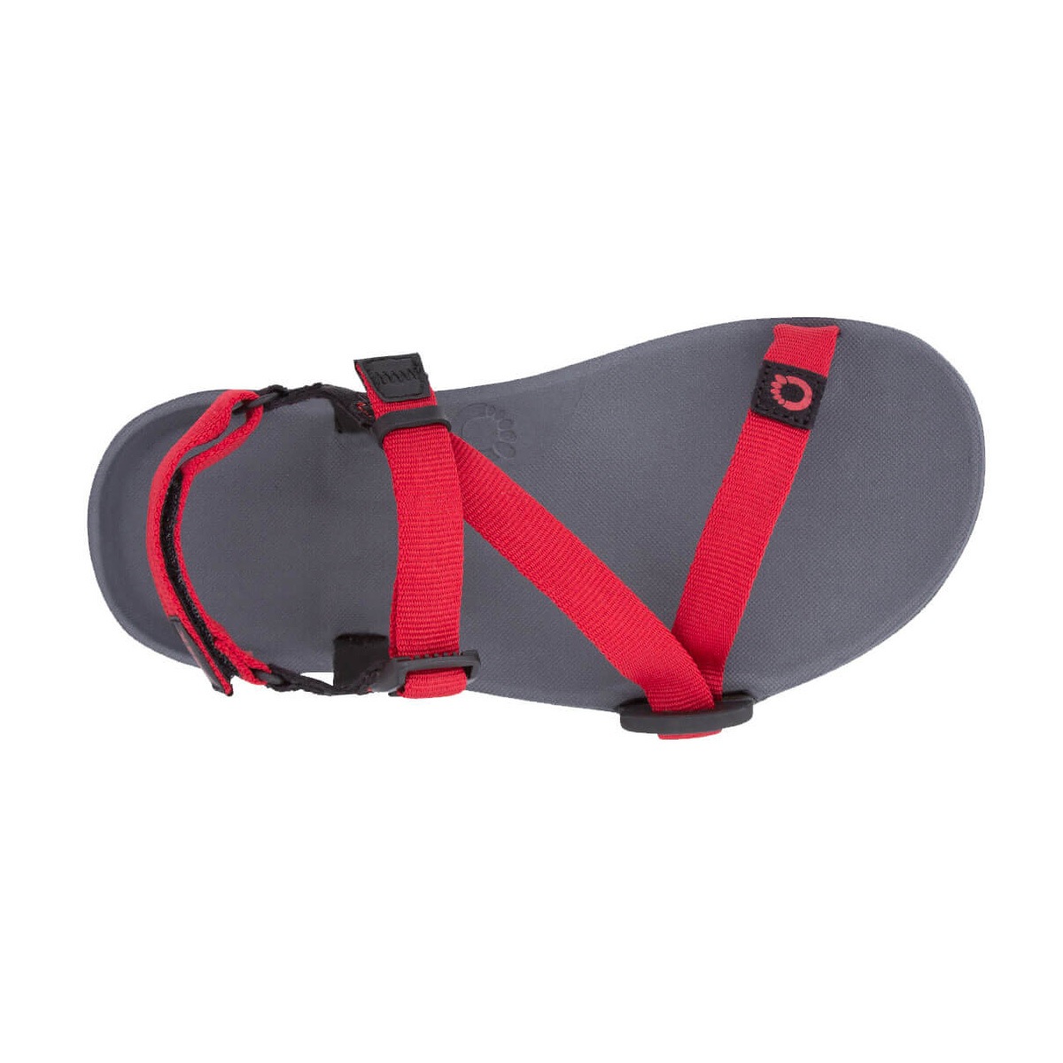 Xero Shoes Kids Z-TRAIL YOUTH Charcoal/Pepper [ゼロシューズ]