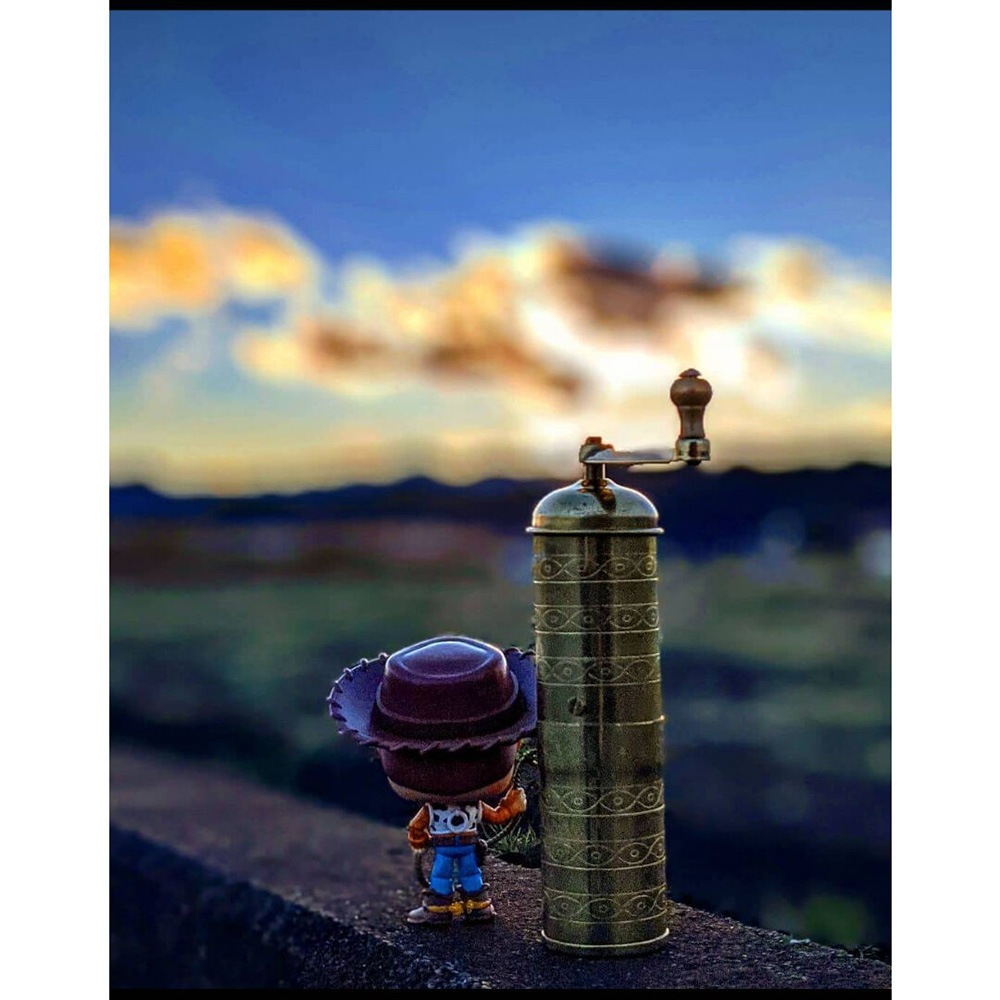 ZASSENHAUS ハヴァナ [ザッセンハウス]