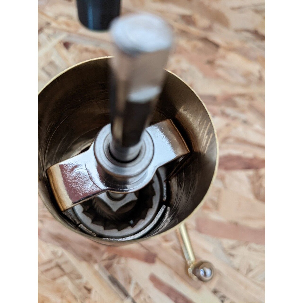 ZASSENHAUS ハヴァナ [ザッセンハウス]