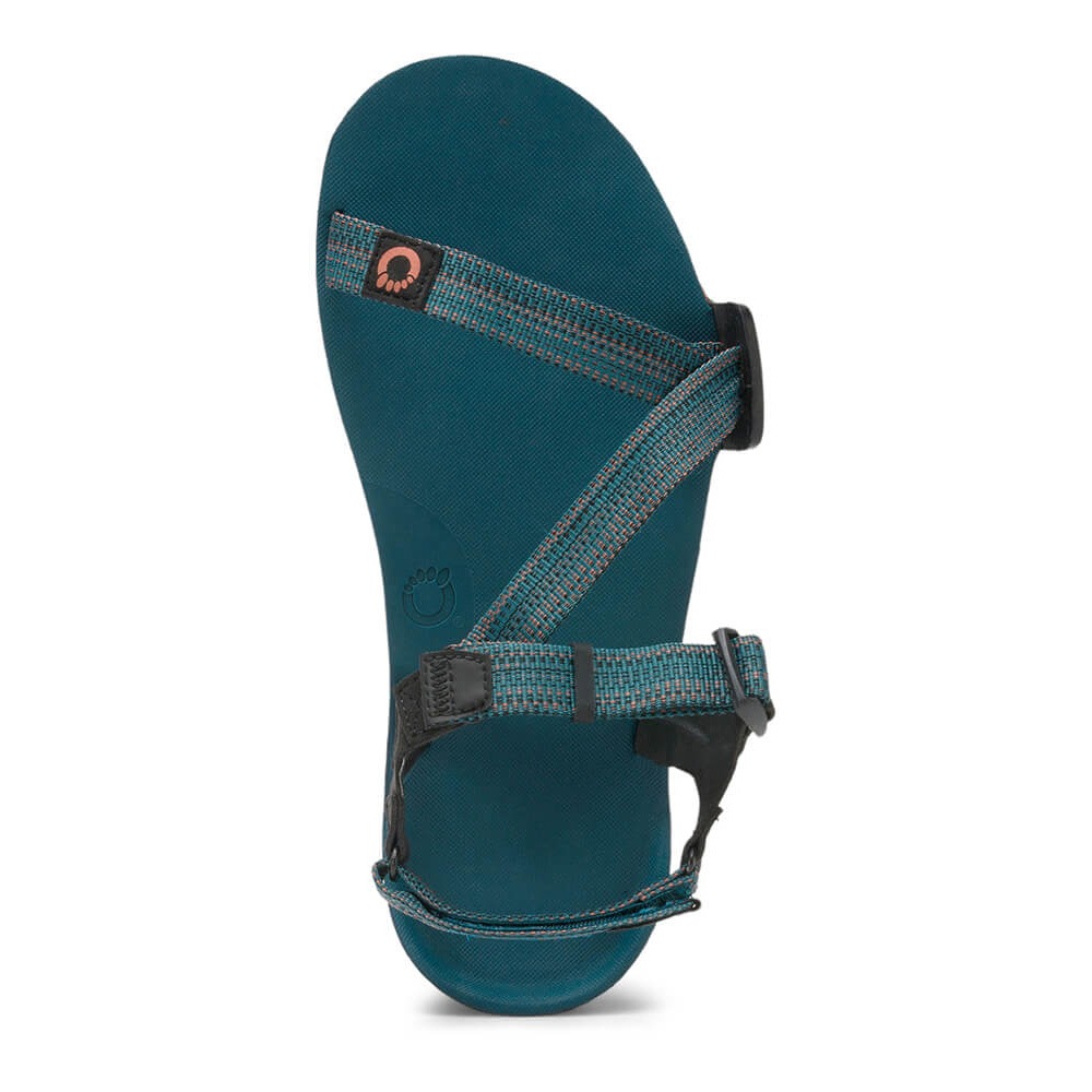 Xero Shoes Mens Z-トレイルEV ディープラグーン [ゼロシューズ]