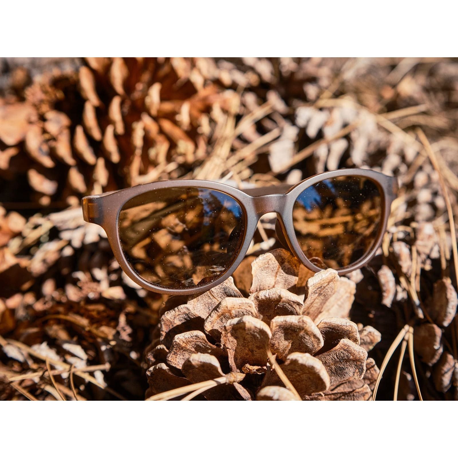 [当日出荷可] FLOAT MILLBRAE MAT BROWN/BR LOCK TEMPLE BROWN [フロート]