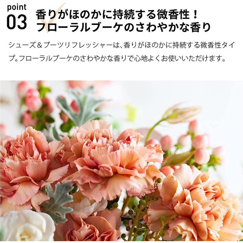 LAQ2 シューズ＆ブーツリフレッシャー [ラクツ]