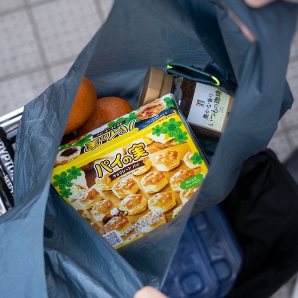 FAIRWEATHER packable nano tote gray beige [フェアウェザー]