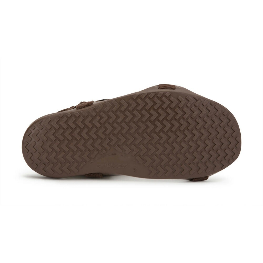 Xero Shoes Mens Z-トレック II ブラウン [ゼロシューズ]