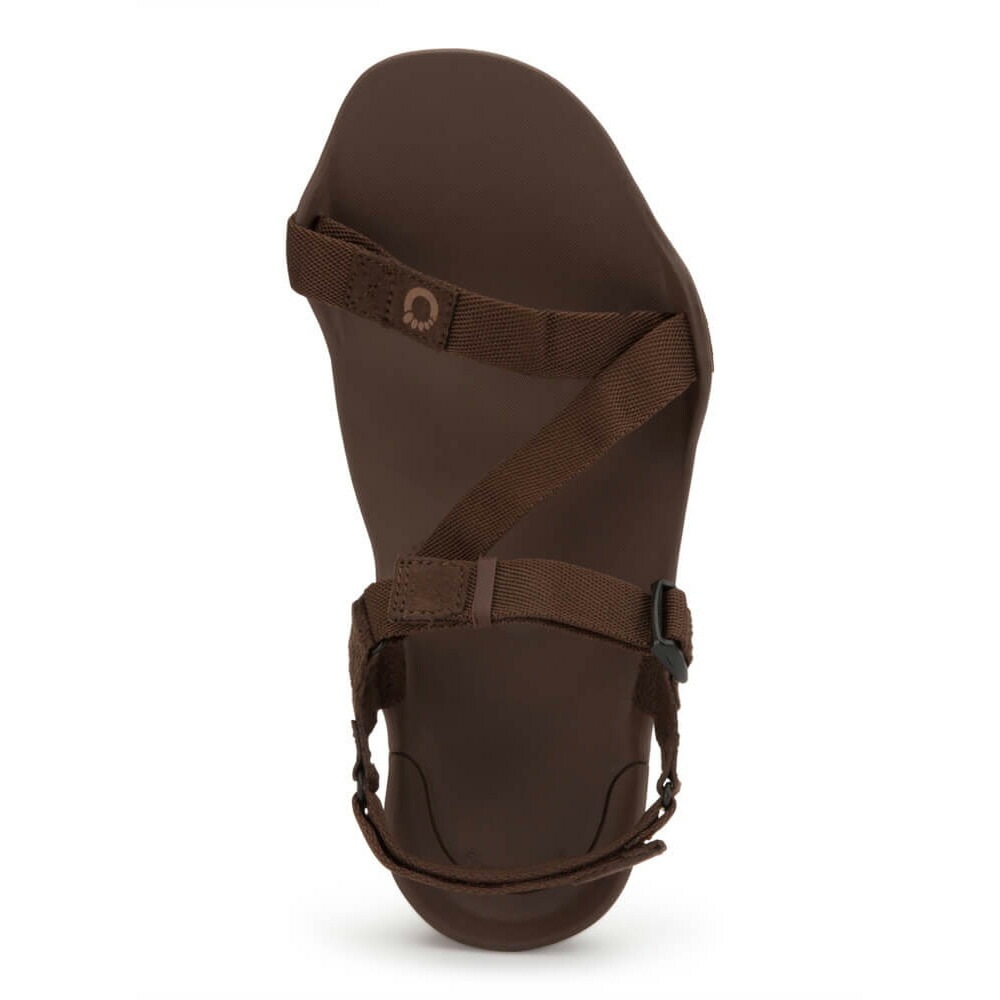 Xero Shoes Mens Z-トレック II ブラウン [ゼロシューズ]
