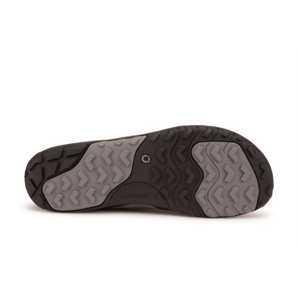 Xero Shoes Mens アクアエックススポーツ スチールグレー/ブルー [ゼロシューズ]