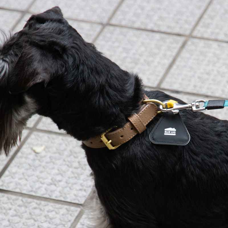 [当日出荷可] BLUE LUG triangle reflector MINI fire dye [ブルーラグ]