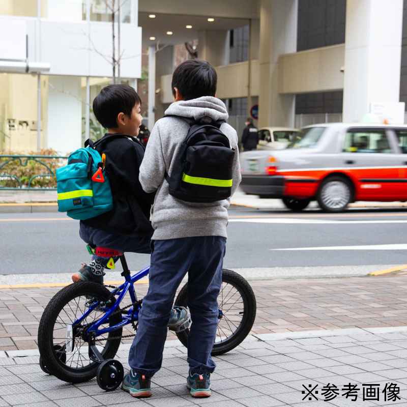 [当日出荷可] BLUE LUG triangle reflector MINI fire dye [ブルーラグ]