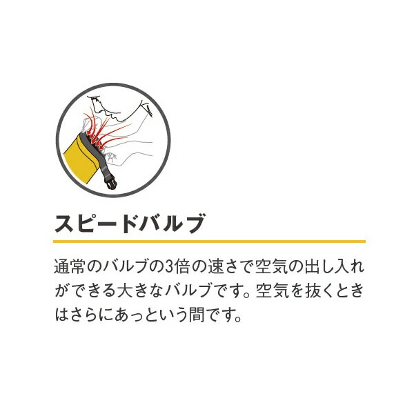 ネオエアー サーモマックス スピードバルブ Lサイズ