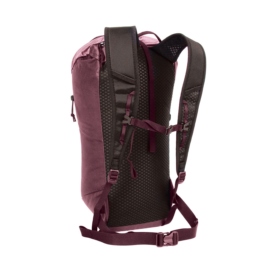 blue ice ドラゴンフライ 26L ワインテイスティング [ブルーアイス]