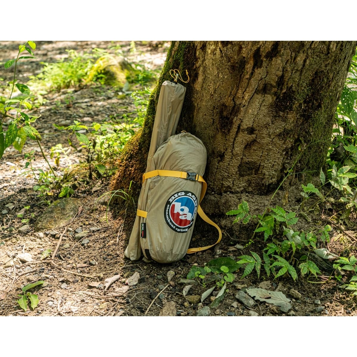 ググググ BIG AGNES フライクリークHV UL2 EX Solution Dye [ビッグアグネス]