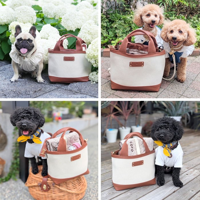 期間限定】名入れ刻印チャーム付き e.x.p.japon 2WAY CLASSY お散歩