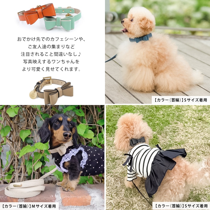 2WAYリボンカラー ＼ダブルリボン追加できます♪／ 犬 首輪 小型犬