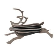  쥤ǥ ȥʥ 12cm 2 ۥ磻 쥤 ᡼ б Lovi   ƥꥢ ̲ ץ  ᡼̵ åԥб 