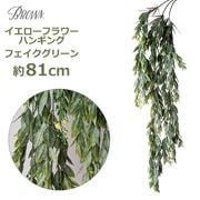 �ե��������꡼�� �ꥢ�� �ߤ겼�� ¤�� �ꥢ�� �͹����տ�ʪ ������� ����ƥꥢ �ǥ����ץ쥤 �ʥ����� �� �������� �ե� �ϥ󥮥� �֥å��� Brown 