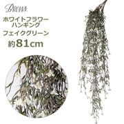 �ե��������꡼�� �ꥢ�� �ߤ겼�� ¤�� �ꥢ�� �͹����տ�ʪ ������� ����ƥꥢ �ǥ����ץ쥤 �ʥ����� �� �ۥ磻�� �ե� �ϥ󥮥� �֥å��� Brown ����̵�� 