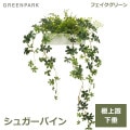 ե꡼ տʪ ͹տʪ ¤  奬Х ꡼  ơ֥륰꡼ ꡼ѡ PRGR-1180 ͵  GREENPARK ̵ 
