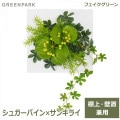 ե꡼ տʪ ͸տʪ ¤  ɳݤ 奬Х 󥭥饤 ǥS ƥꥢ   ե졼 GREENPARK PRGR-1052 ̵ 