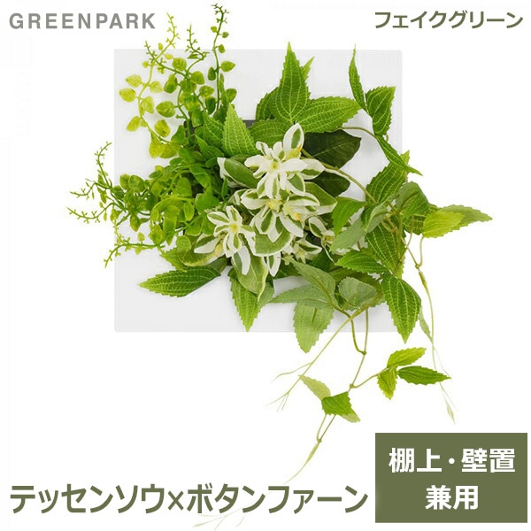 フェイクグリーン 壁掛け ミニ 卓上 造花 観葉植物 テッセンソウ ボタンファーン ウォールデコs Greenpark Prgr 1053 インテリア 壁 おしゃれ 白 フレーム Viewgarden