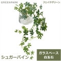 ե꡼ տʪ ͹տʪ ¤  奬Х ơ֥륰꡼ 饹 ȥڥ ƥꥢ  ʪ GREENPARK PRGR-0946 ̵ 