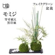 盆栽 フェイクグリーン ミニサイズ シノブ コケ 苔 皿付 小鉢 白 造花