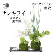 盆栽 モミジ トクサ 苔玉 セット 青紅葉 フェイクグリーン 人工 観葉