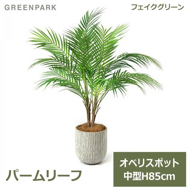 flying Fin 観葉植物ケース 【公式通販】