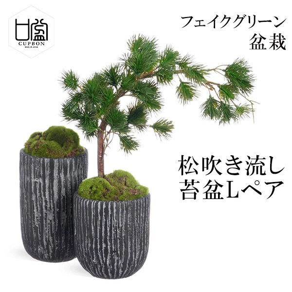 五葉松の盆栽⑧（インテリア用サイズ） 布い