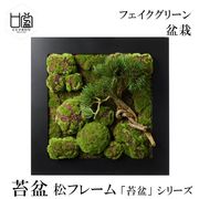 盆栽 苔盆 苔 コケ こけ フレーム フェイクグリーン 造花 リアル