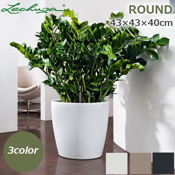 鉢・プランター Raruchia 鉢・プランター Raruchia プランター